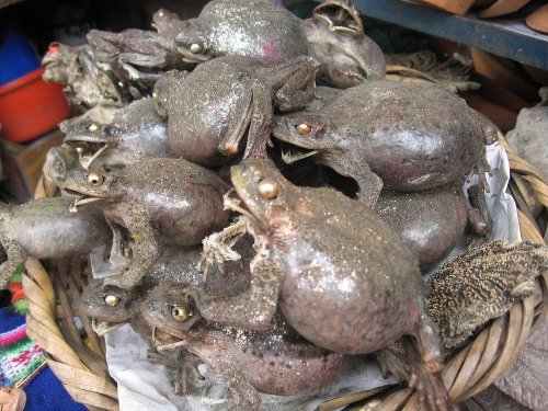 Самый чудовищный рынок для ведьмацких ритуалов