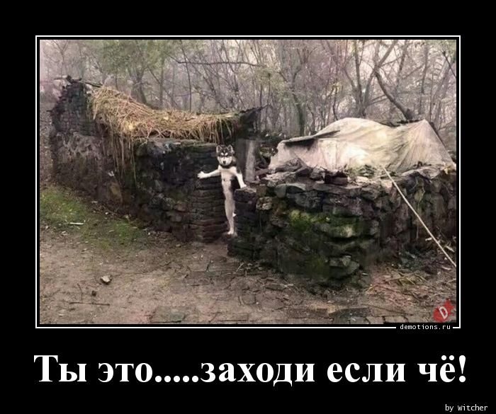 Демотиваторы для настроения