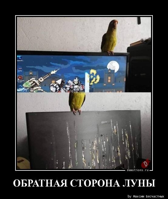 Демотиваторы для настроения