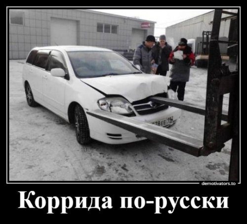 Демы на любой вкус