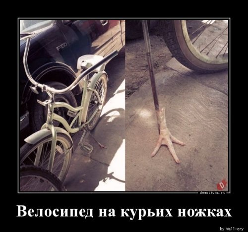 Демы на любой вкус