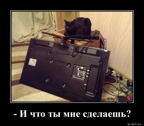 Демы на любой вкус