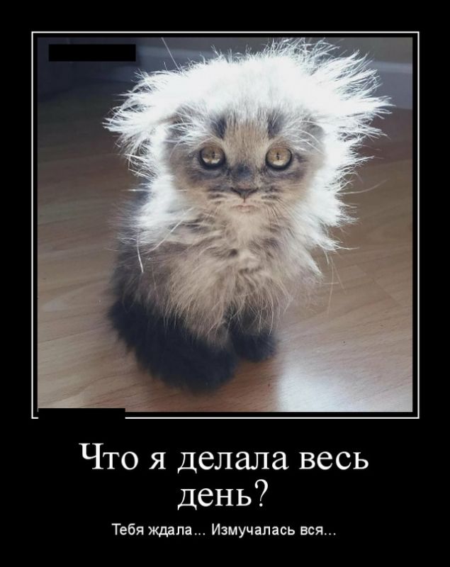 Подборка свежих демов