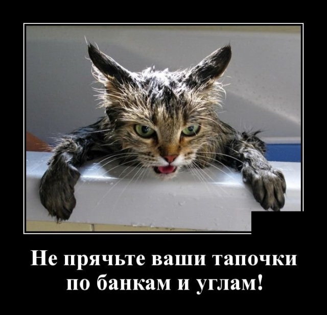Подборка свежих демов