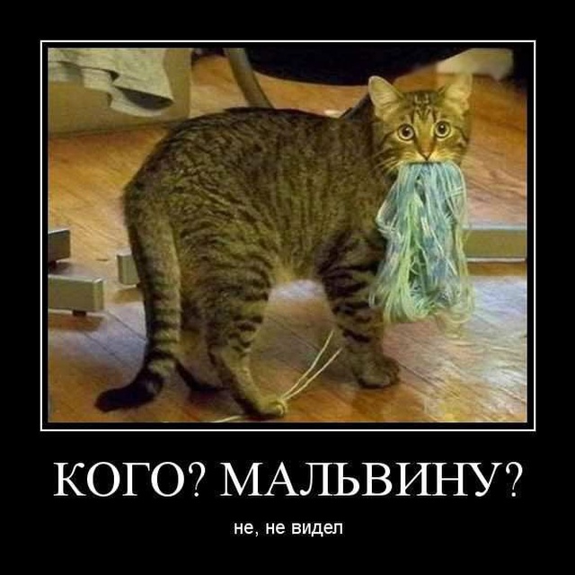 Подборка свежих демов