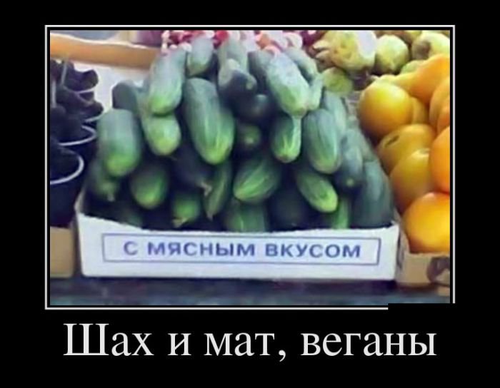 Демотиваторов подборочка