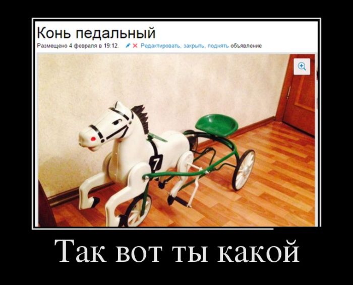 Демотиваторов подборочка