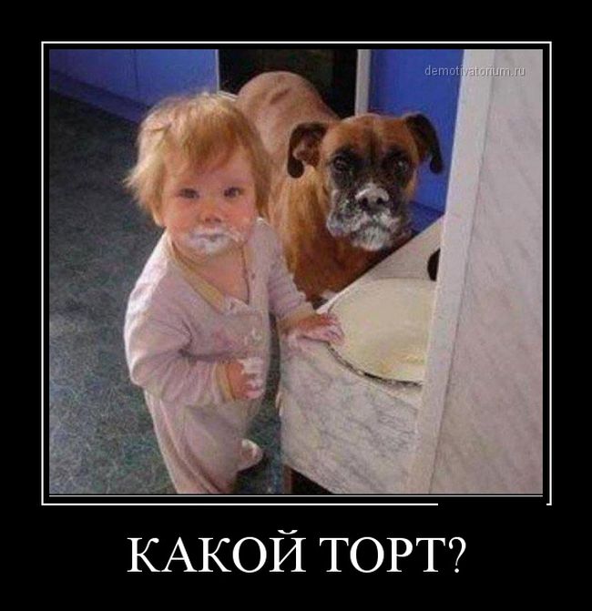 Демотиваторов подборочка