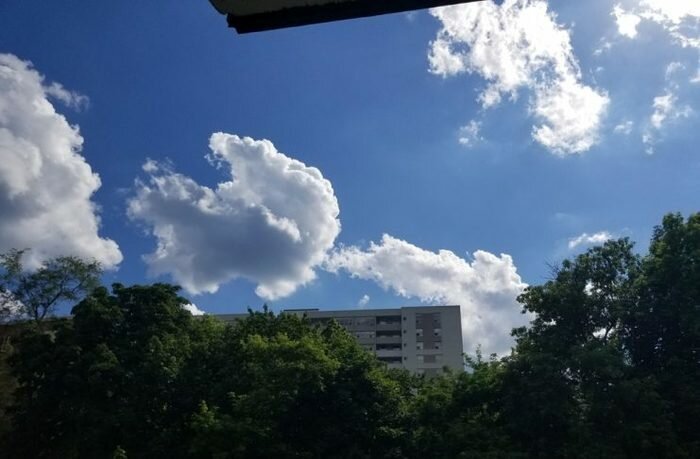 Включи свое воображение