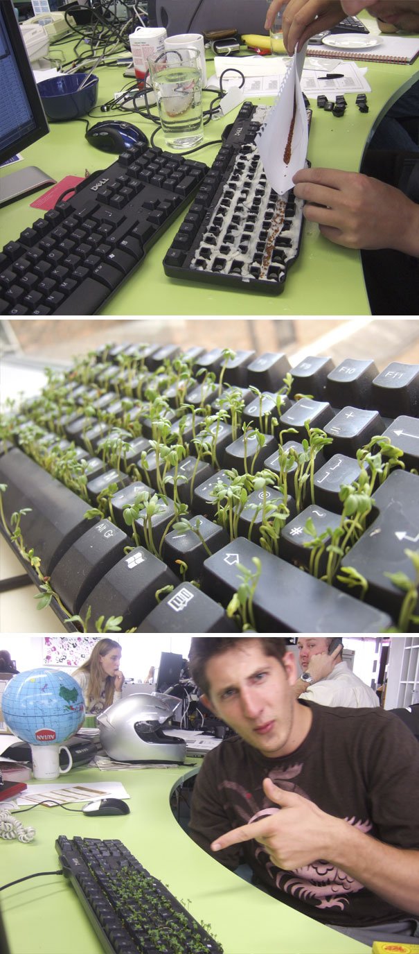 Веселые офисные будни