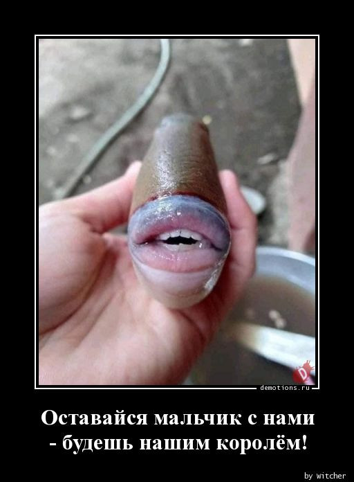 Свежие Демотиваторы
