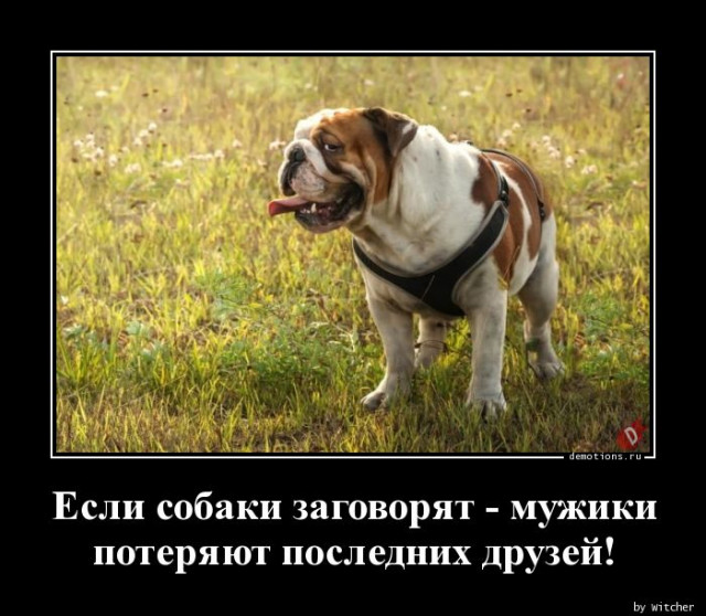 Свежие Демотиваторы
