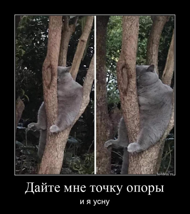 Свежие Демотиваторы