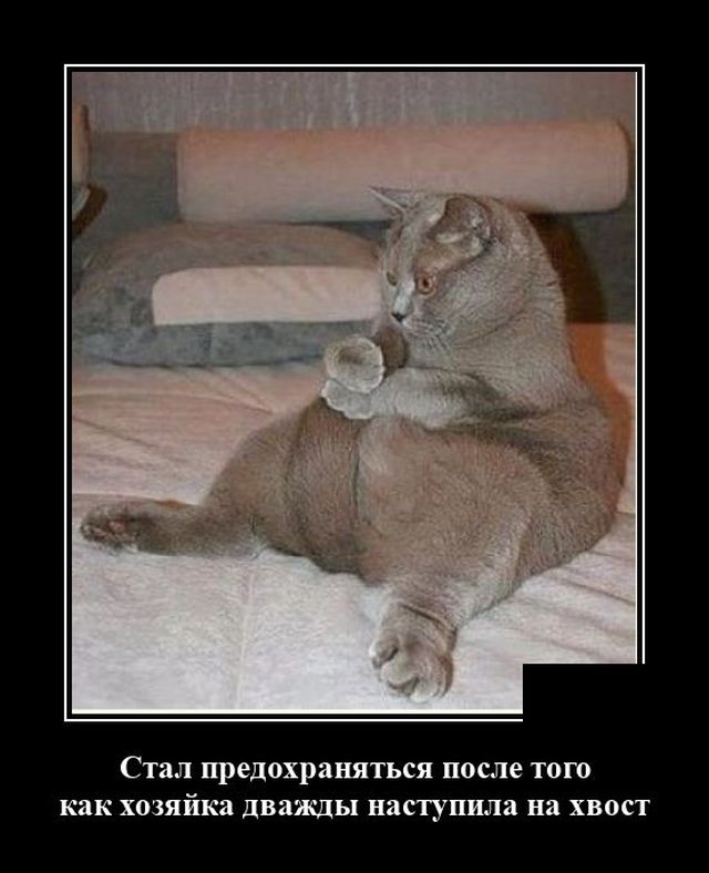 Демотиваторы