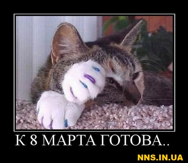 Подборка прикольчиков в канун 8 марта