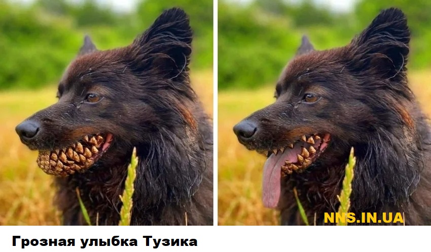 Мастера фотошопа рулят