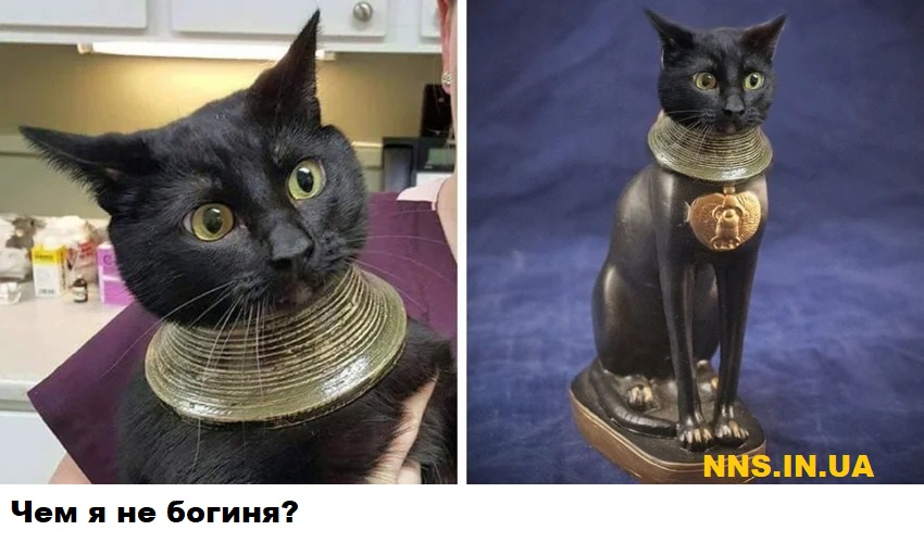 Мастера фотошопа рулят