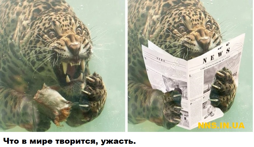 Мастера фотошопа рулят