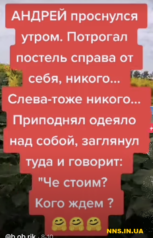 Свежая подборка анекдотов из Тик Тока
