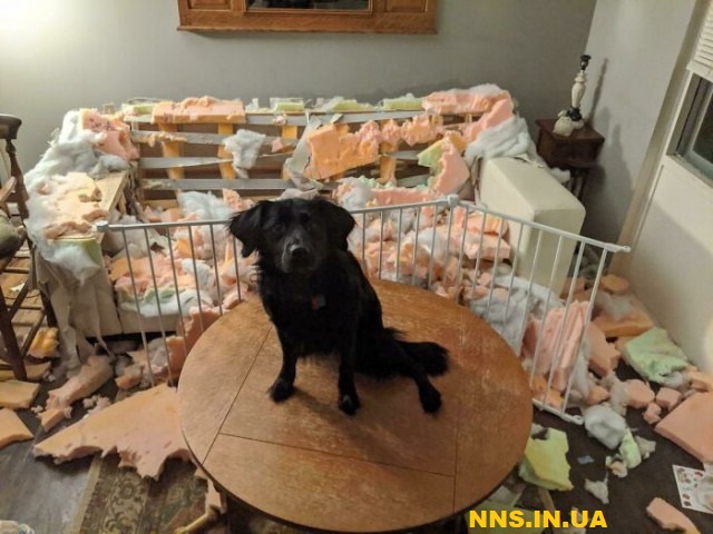 Неприятности рядом