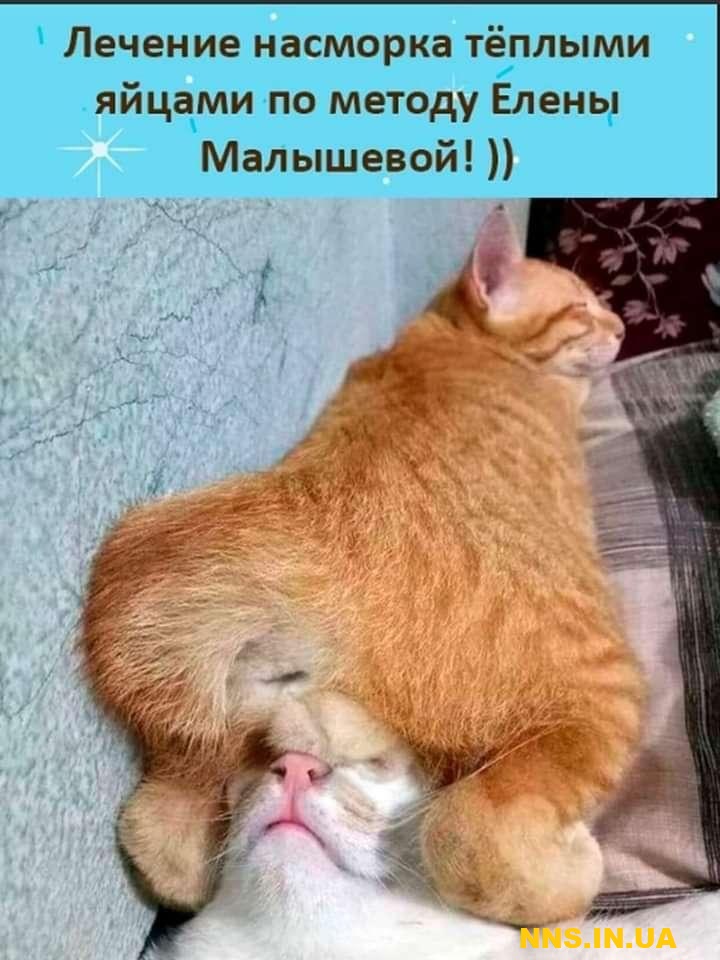 Как быстро вылечить насморк по Малышевой