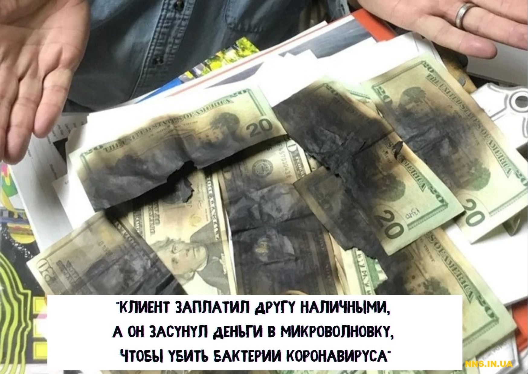 14 случаев человеческой глупости