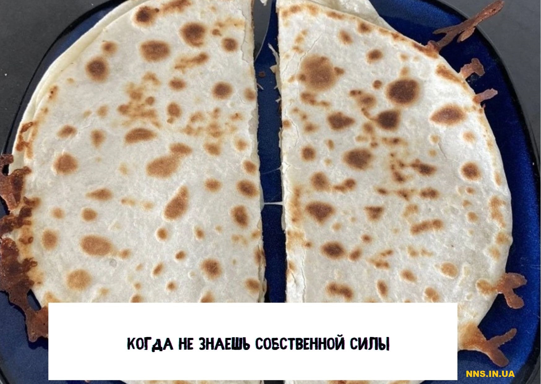 14 случаев человеческой глупости
