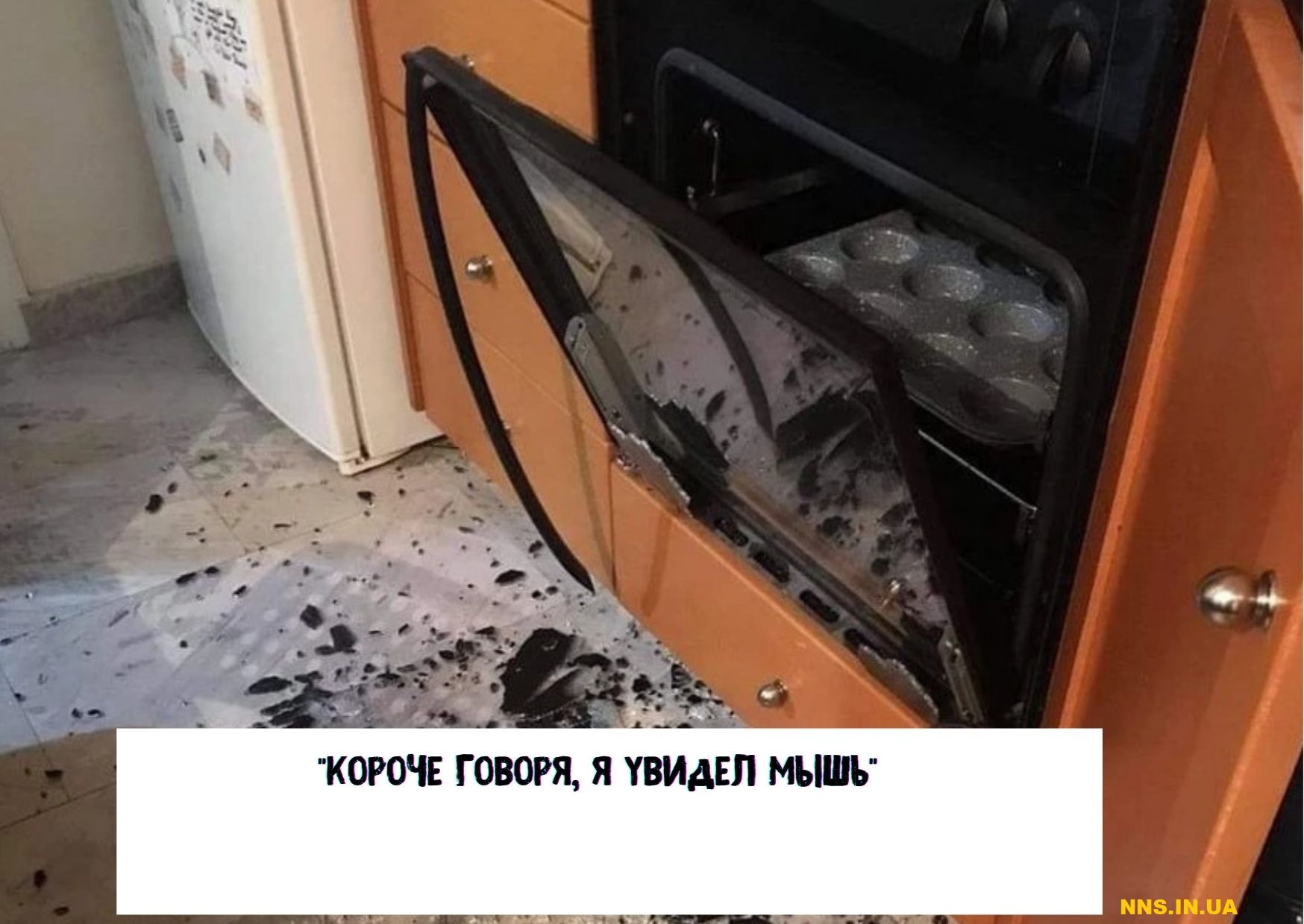 14 случаев человеческой глупости