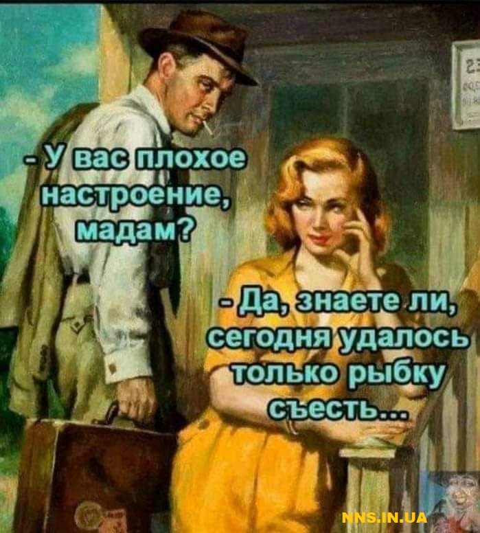 Подборка юмора на понедельник для хорошего настроения