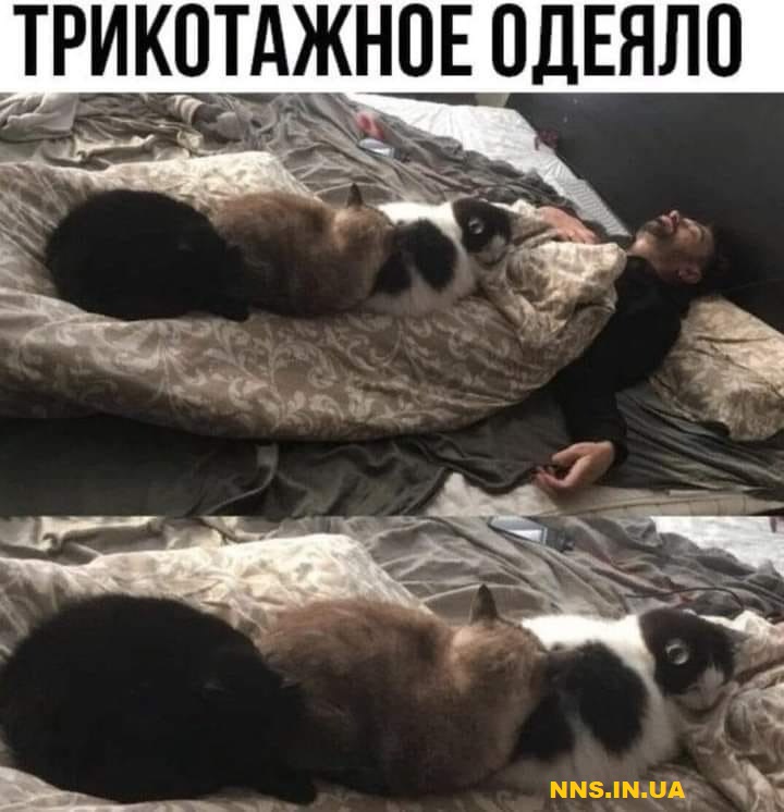 Подборка юмора на понедельник для хорошего настроения